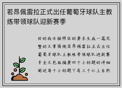 若昂佩雷拉正式出任葡萄牙球队主教练带领球队迎新赛季 若昂佩雷拉正式出任葡萄牙球队主教练带领球队迎新赛季
